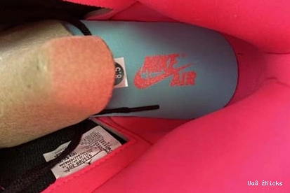 OG Jordan 555088- “Bio SportInspired Hack” 8929 229 1 High 0729